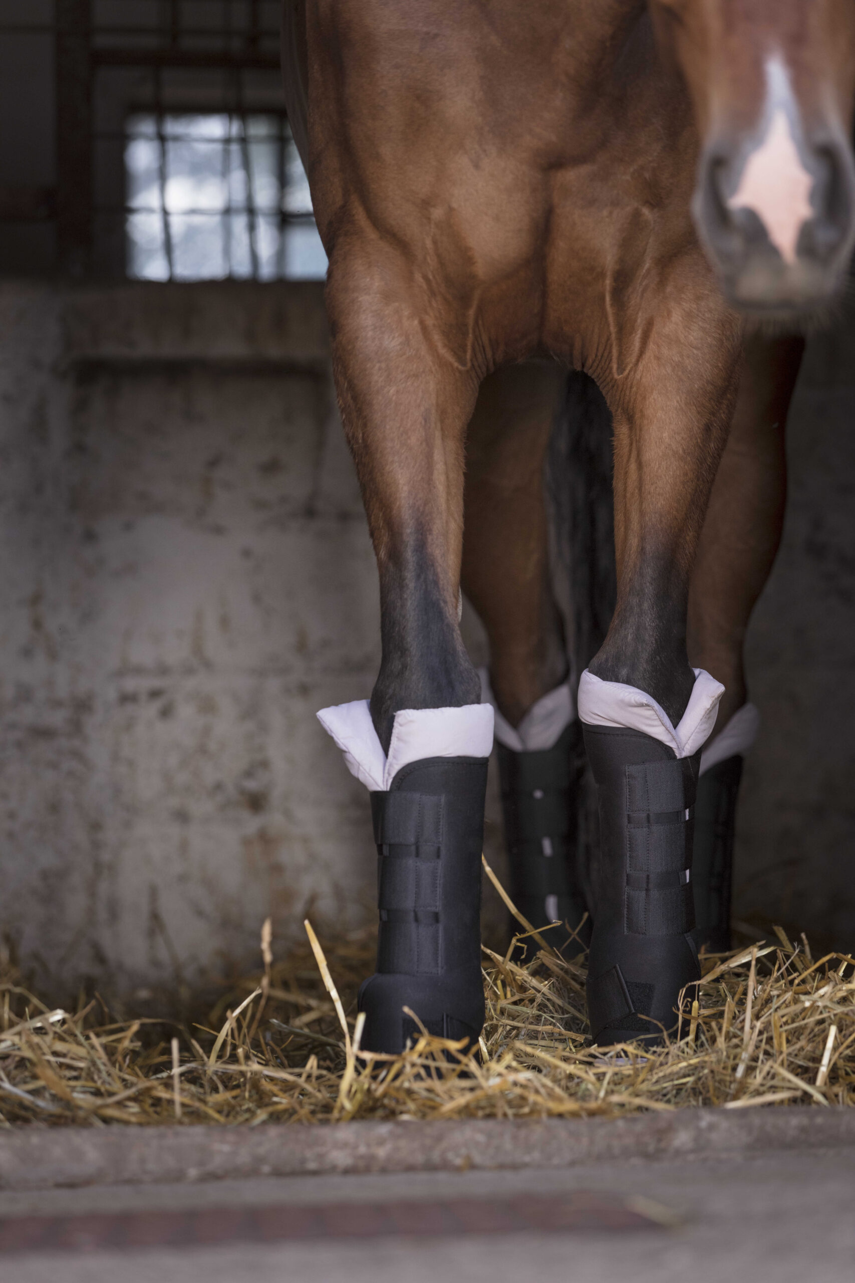 FASCE DA RIPOSO E/O TRASPORTO SET DA 2