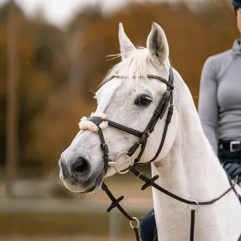 FILETTO ANELLI - MORSO CORRETTIVO  KK 18 MM.  - SPRENGER