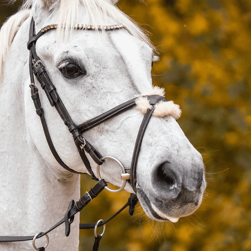 FILETTO ANELLI - MORSO CORRETTIVO  KK 18 MM.  - SPRENGER